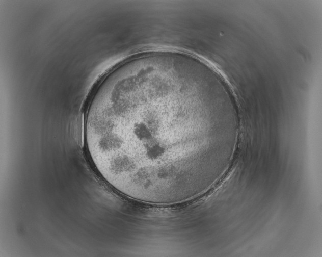 X0000115231223200911131637