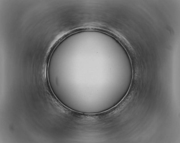 X0000115231224200911131637