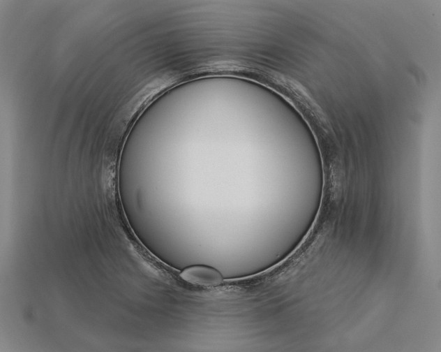 X0000115231225200911131637