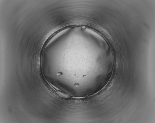 X0000115231226200911131637