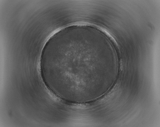 X0000115231229200911131637