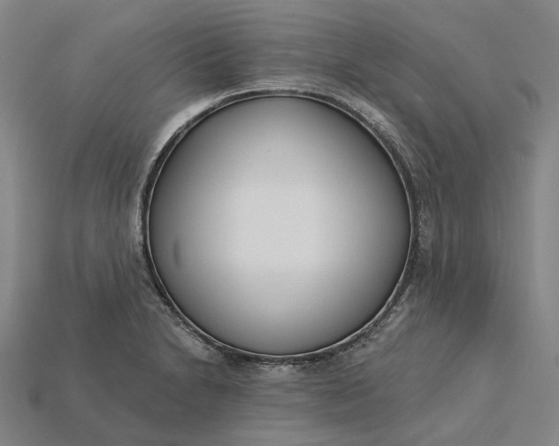 X0000115231230200911131637