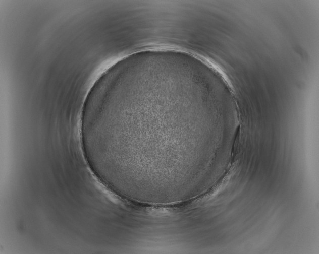 X0000115231231200911131637