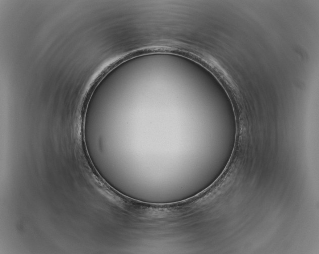 X0000115231232200911131637