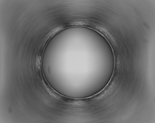 X0000115231233200911131637