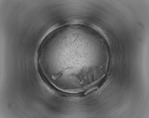 X0000115231235200911131637
