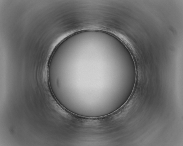 X0000115231238200911131637