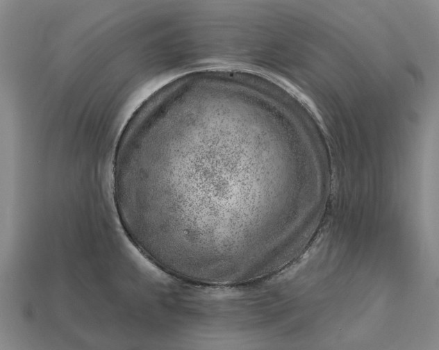 X0000115231239200911131637