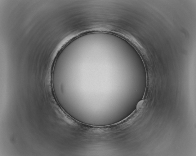X0000115231240200911131637