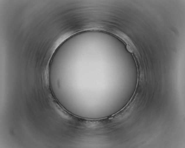 X0000115231242200911131637
