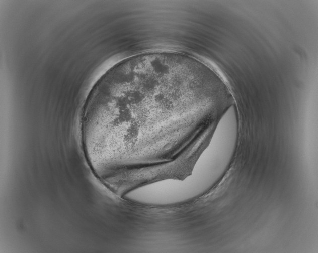 X0000115231243200911131637