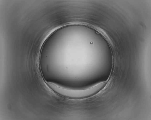 X0000115231244200911131637