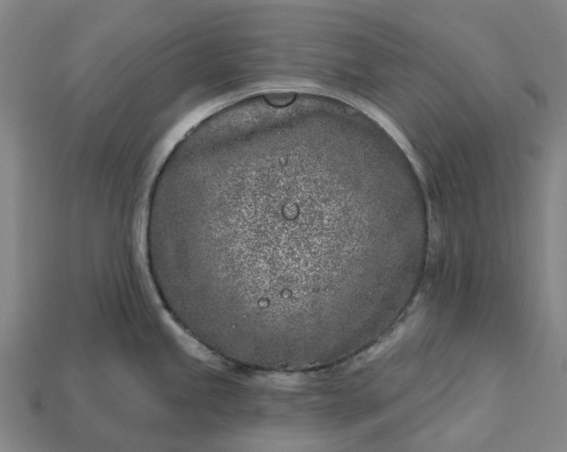 X0000115231245200911131637