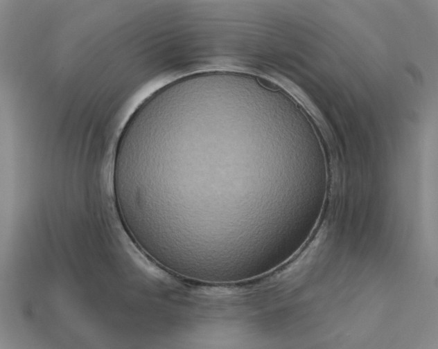 X0000115231246200911131637
