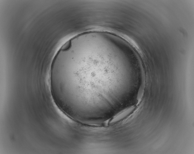 X0000115231247200911131637