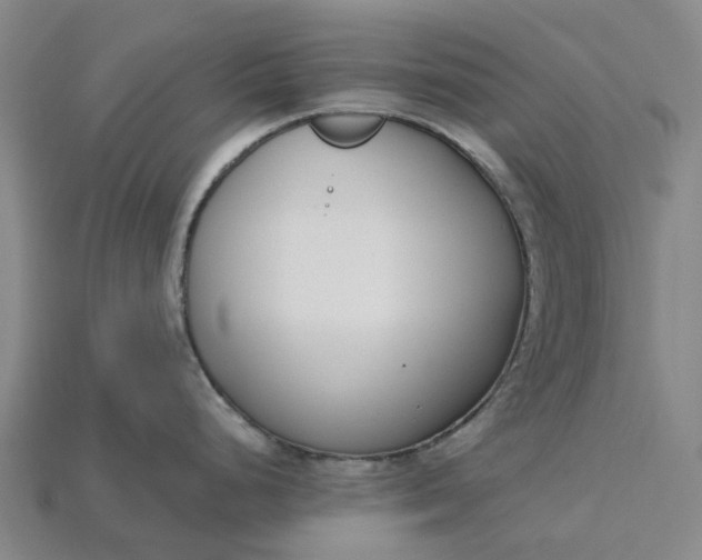 X0000115231248200911131637