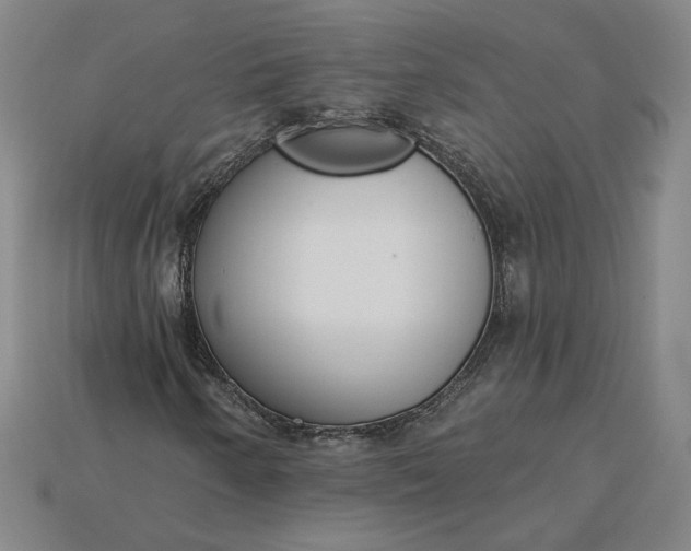 X0000115231250200911131636