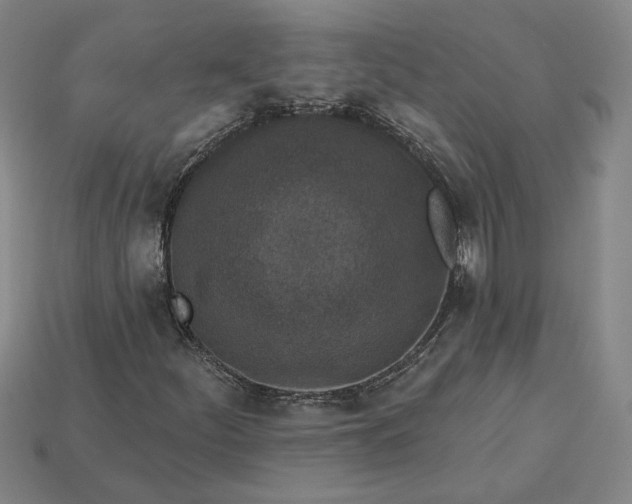 X0000115231252200911131636