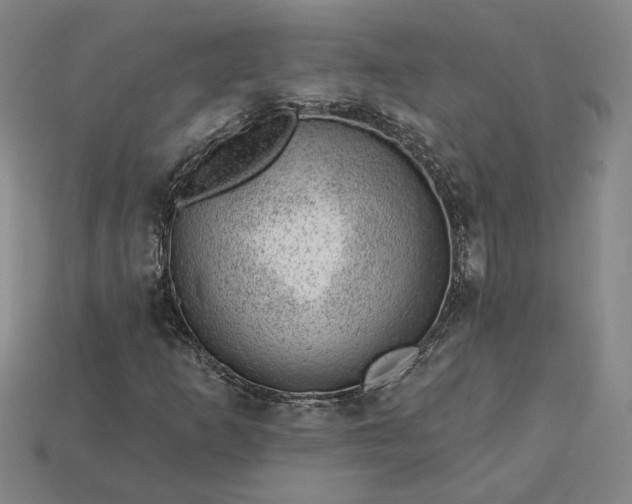 X0000115231253200911131636