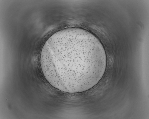 X0000115231254200911131636