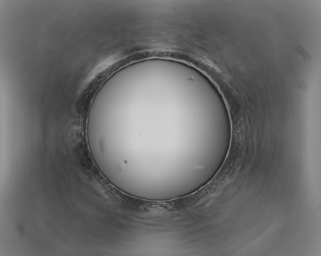X0000115231255200911131636