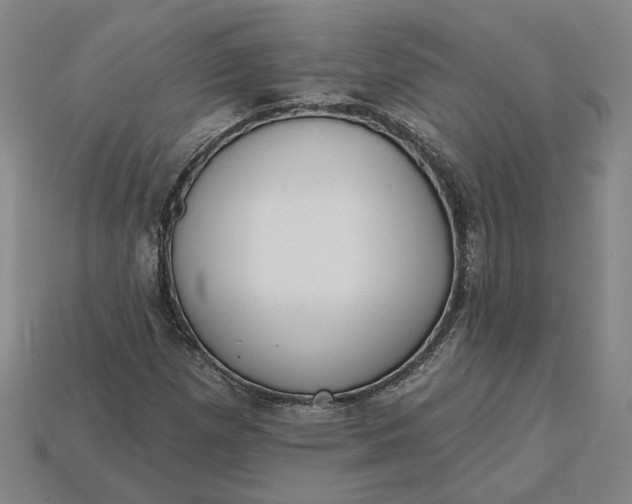 X0000115231257200911131636