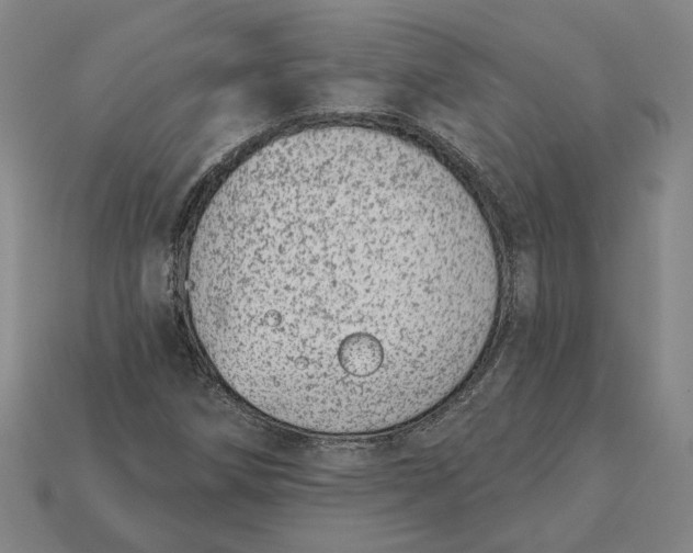 X0000115231258200911131636