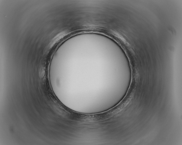 X0000115231259200911131636