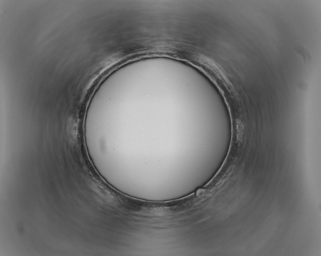 X0000115231260200911131636