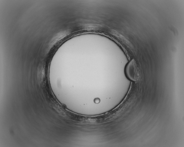 X0000115231261200911131636
