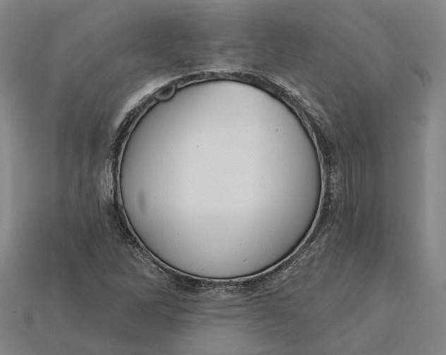 X0000115231262200911131636