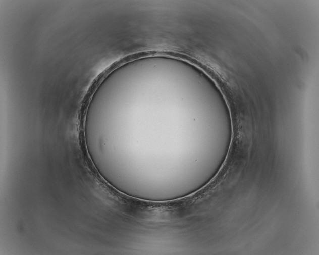 X0000115231264200911131636
