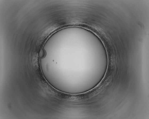 X0000115231265200911131636