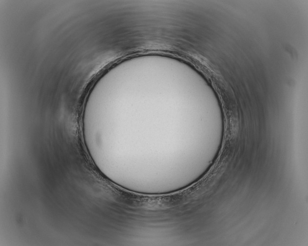 X0000115231266200911131636