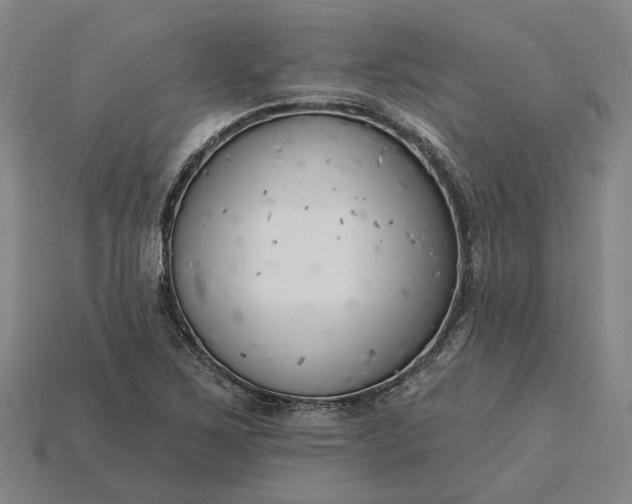 X0000115231267200911131636