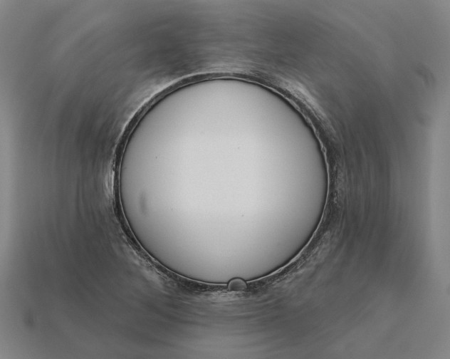 X0000115231268200911131636