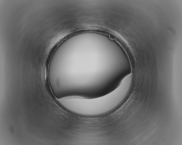 X0000115231269200911131636