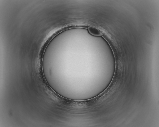 X0000115231270200911131636