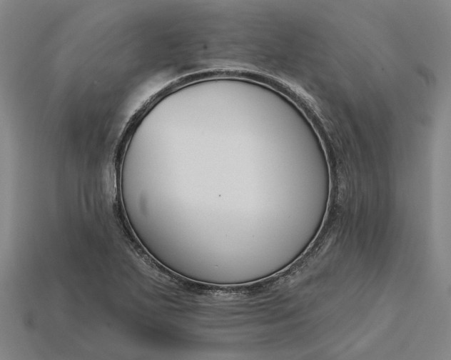 X0000115231271200911131636