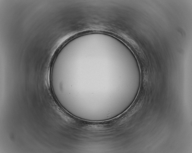 X0000115231272200911131636