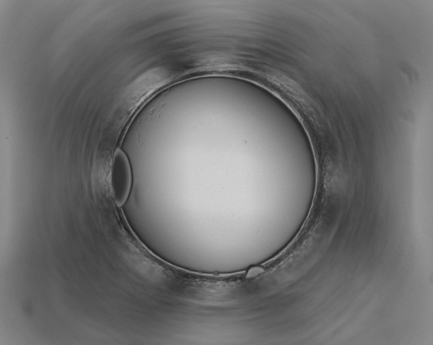 X0000115231273200911131636