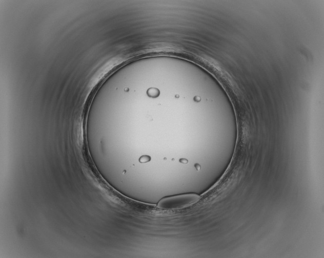 X0000115231274200911131636