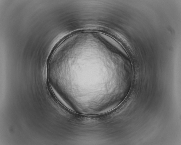 X0000115231275200911131636
