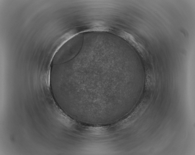 X0000115231276200911131636