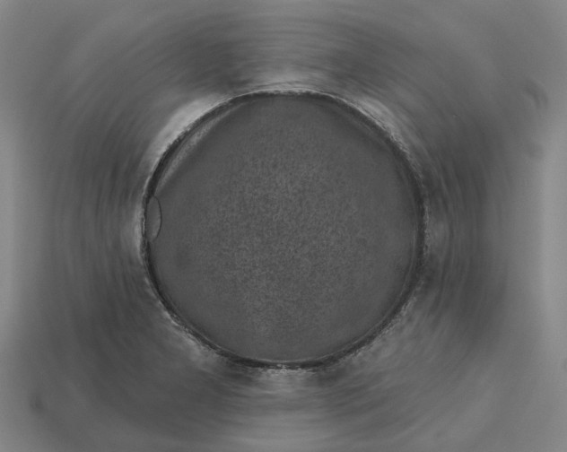 X0000115231277200911131636