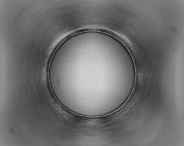 X0000115231279200911131636