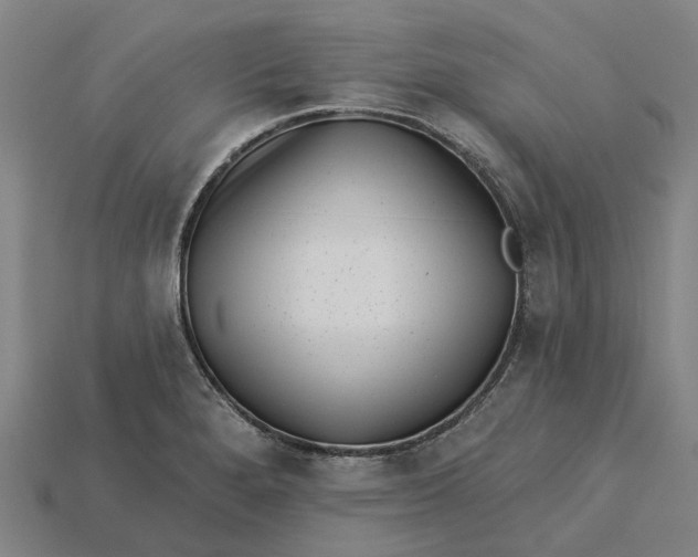 X0000115231280200911131636