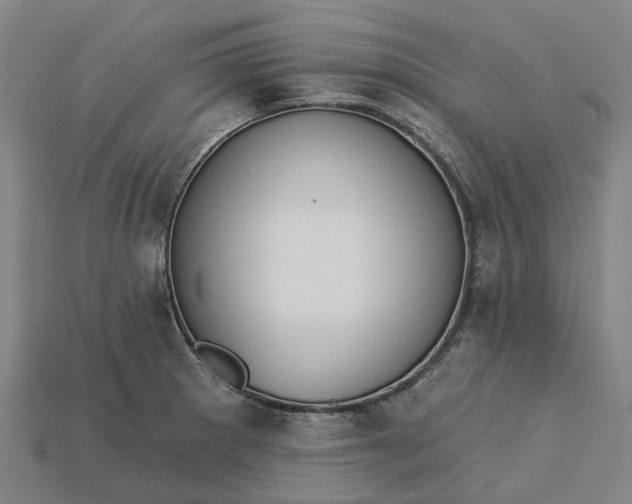 X0000115231281200911131636