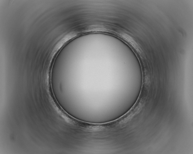 X0000115231282200911131636