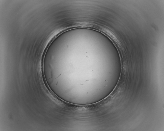 X0000115231283200911131636